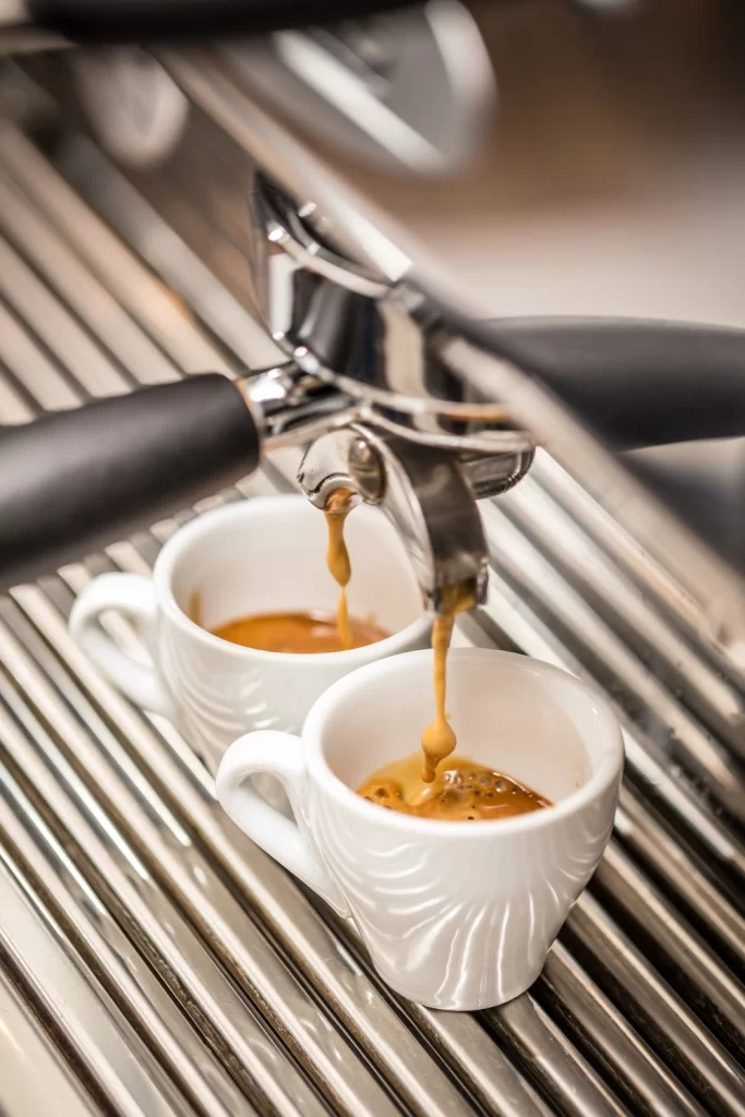 diletta coffee machine repairs in sarasota